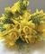 Ramos Yellow