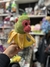 PELUCHES TIK TOK
