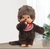 Peluche MONCHHINCHI