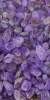 brinco de pedras com argola dupla - loja online