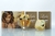 Perfume Feminino Lady Billion-Idêntico ao Lady Million na internet