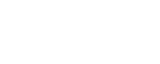 Honk vinilos