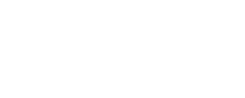 Honk vinilos