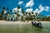 Praia dos Carneiros - Receptivo Guadalupe na internet