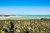 Praia do Gunga /Françes