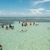 PRAIA DE PARIPUEIRA: 40 km de Maceió - Rafa Tour
