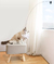 Brinquedo para gato pássaro interativo - loja online