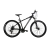 RALEIGH 2.0 - comprar online