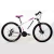RALEIGH 2.0 en internet