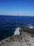 OCEAN 420 en internet