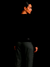 MOLETOM CARECA 'BEAUTIFUL' - BLACK - loja online