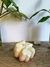 Flores - comprar online