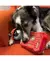 Brinquedo Kong Puzzlements Surprise Fire Hydrant na internet