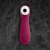 SATISFYER PRO 2 GENERATION 3 CONNECT APP - comprar online