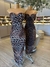 Vestido Tule - comprar online
