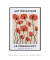 Imagem do Quadro Decorativo Art Botanique Le Coquelicot