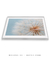Quadro Decorativo Dente de Leão - comprar online