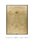 Quadro Decorativo Leonardo Da Vinci O Homem Vitruviano - loja online