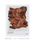 Quadro Decorativo William Morris Acanthus - loja online