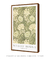 Quadro Decorativo William Morris Chrysanthemum na internet