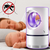 Mata Mosquito Lâmpada LED UV Armadilha Eletrônica Anti Mosquito - comprar online