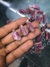 Joyas en piedras