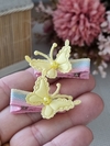 Mini parzinho borbotela