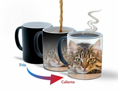 Tazas mágicas