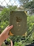 Diario Vintage | Flor na internet