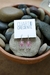Ositos Yummy’s - Cubic - Cuarto Creciente Joyas