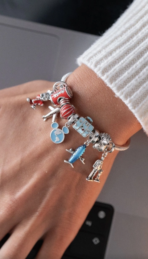 Charms Erizo