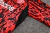 Conjunto de Treino Manchester United 23/24 - Adidas- Calça e Jaqueta Meio Zíper - loja online