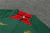 Conjunto de Treino Portugal 23/24 - Nike - Calça e Jaqueta Meio Zíper - loja online