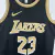 Regata Los Angeles Lakers Edição Especial Lebron James - 23/24 - Swingman na internet