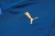 Conjunto de Treino Olympique de Marseille 23/24 - Puma- Calça e Jaqueta Zíper Completo - loja online