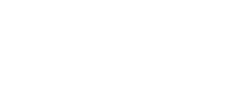LyonV