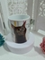 Caneca Porcelana Personalizada 325 ml na internet