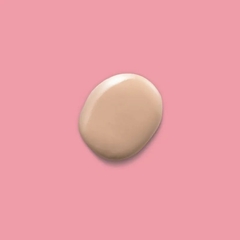 Base Líquida Daily Tint Cream Niina Secrets na internet