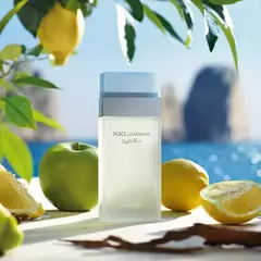 Perfume dolce&gabbana light blue feminino eau de toilette 100ml na internet