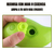 Imagen de Cepillo De Vapor Para Gatos Y Perros 3 In 1 Cepillo