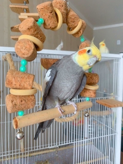 Balanço Rústico com Rolhas para Aves. - Pássaro Artesão
