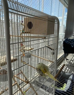 Ninho Artesanal para Aves.