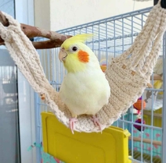 Redinha de Crochê para Aves. - comprar online