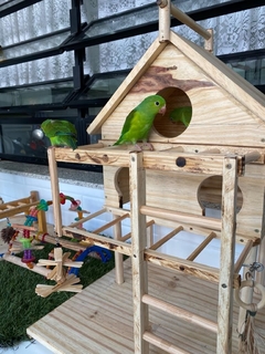Playground Casinha Poly e Vivian para Aves. - loja online