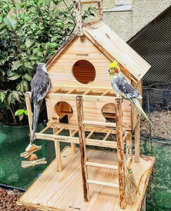 Playground Casinha Poly e Vivian para Aves. - comprar online