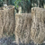 LAMPARAS FIBRA NATURALES
