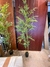 PLANTA BAMBU - PLANTA DECORATIVA 185 MTS.