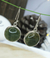 Aretes colgantes plata piedra aventurina