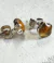 Aretes con flor inmortalizada
