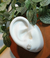 Topos plata 925 - comprar online